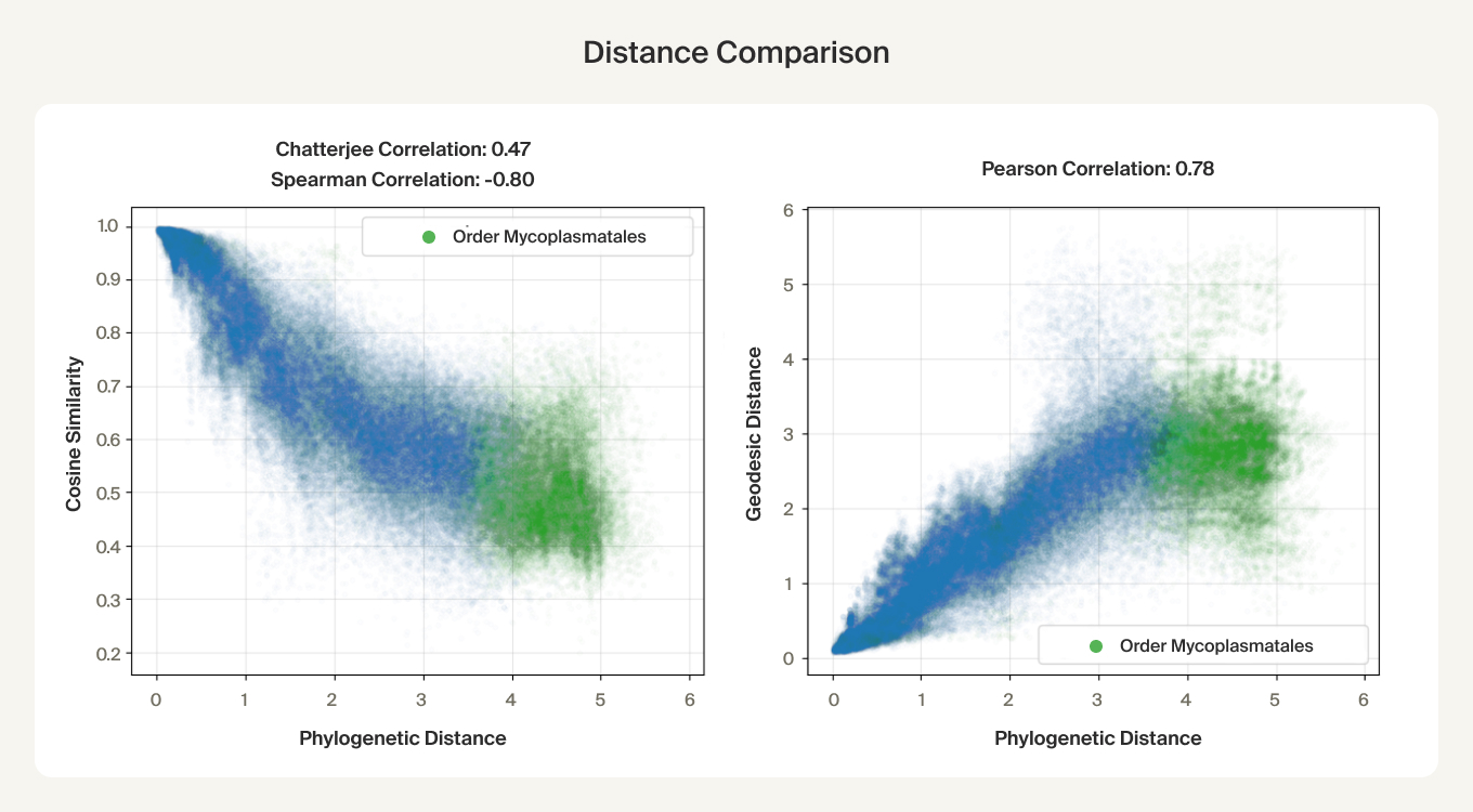 Manifold distance correlation