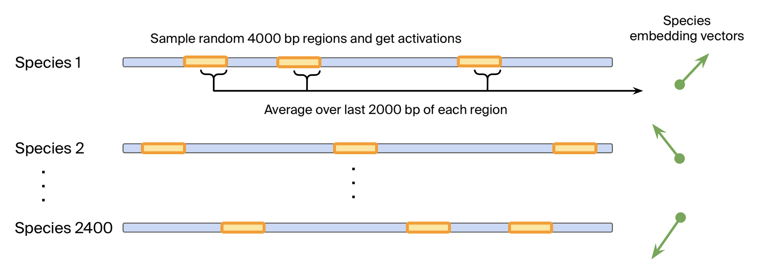 Sampling and averaging methodology